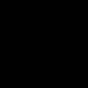 Meet your Posher, Grayson